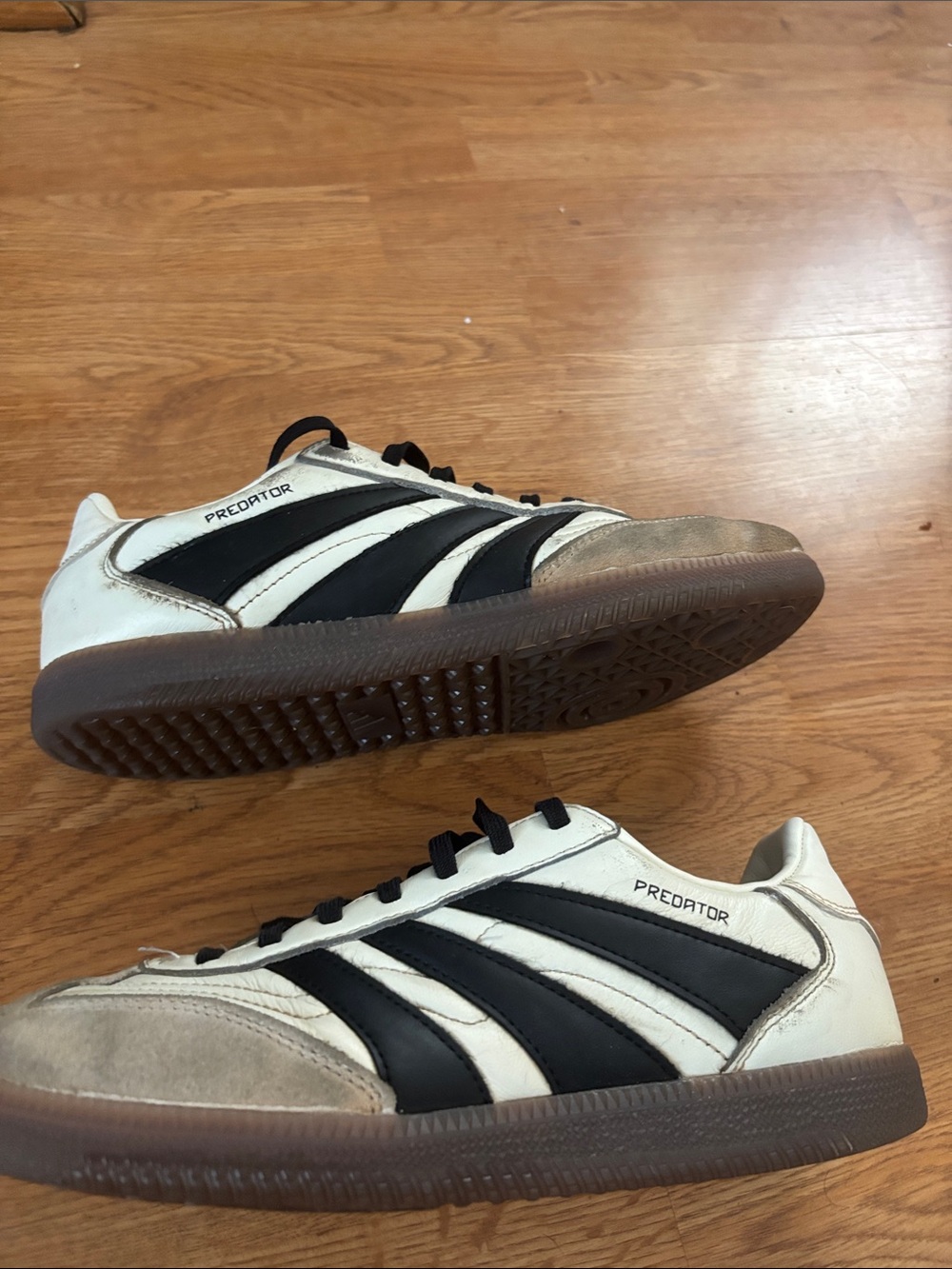 adidas Predator Absolado Indoor (I